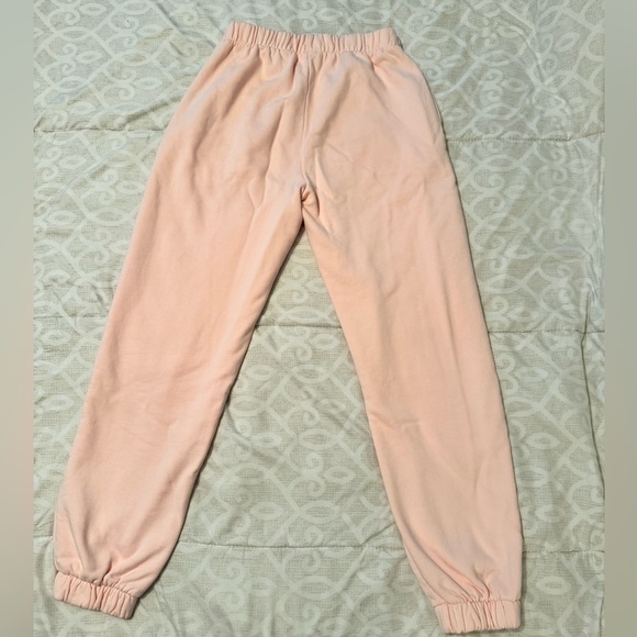 Light pink PacSun John Galt Sweatpants - Picture 4 of 4